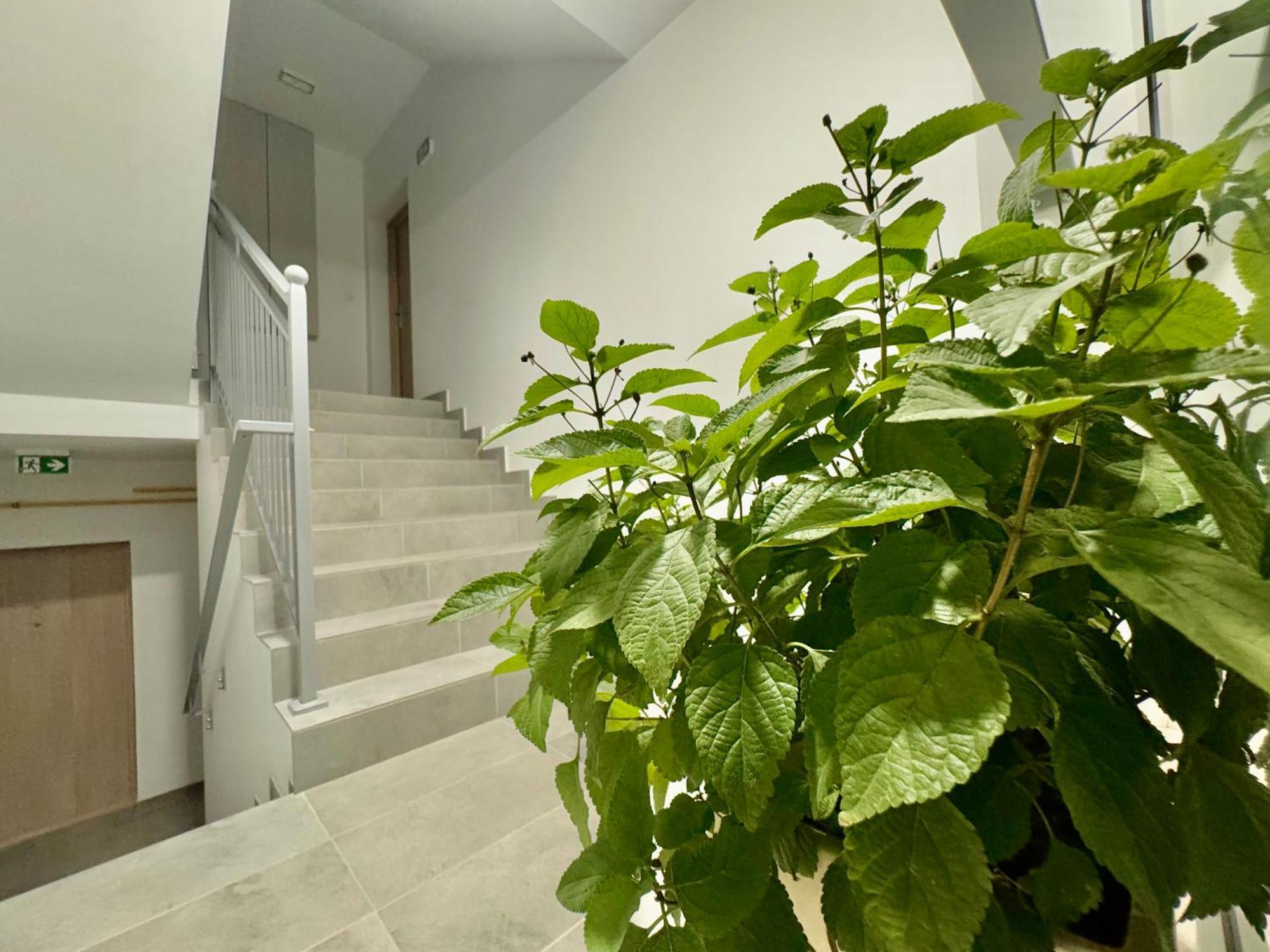 Apartament Olenka Busko Zdroj Exterior photo